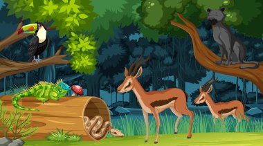 Orman manzaralı vahşi hayvanlar.