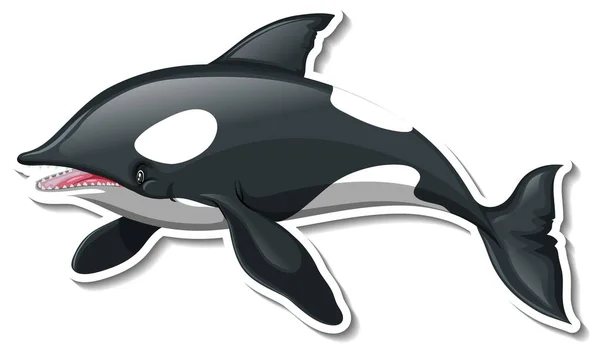 범고래 캐릭터 삽화의 스티커 — 스톡 벡터