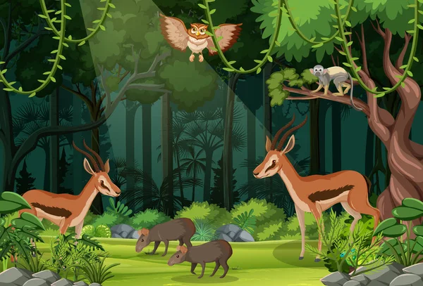 Animaux Sauvages Dans Paysage Forestier Illustration Fond — Image vectorielle