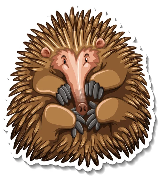 Personaje Dibujos Animados Echidna Sobre Fondo Blanco Ilustración — Archivo Imágenes Vectoriales