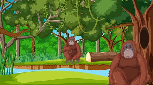 Orangután Escena Del Bosque Selva Tropical Con Muchos Árboles Ilustración — Archivo Imágenes Vectoriales
