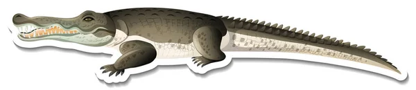 Шаблон Наклейка Иллюстрации Персонажа Мультфильма Про Крокодила — стоковый вектор