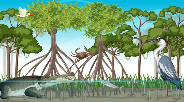 Tiere Leben Tagsüber Mangrovenwald Illustration — Stockvektor