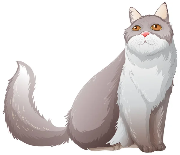 Puszysty Perski Kot Siedzi Białym Tle Ilustracja — Wektor stockowy