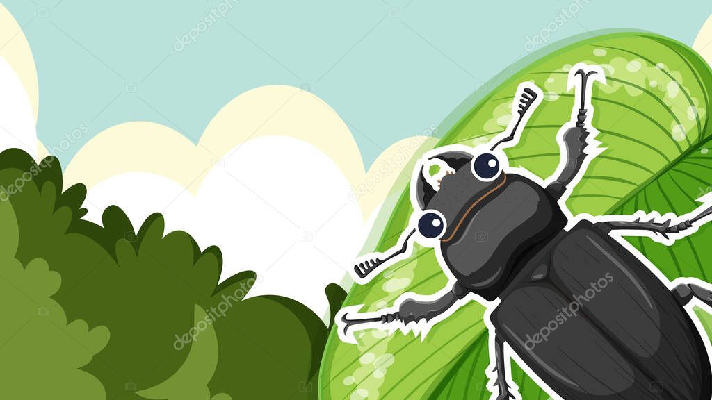 Thumbnail design with beetle on a leaf illustration