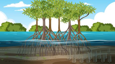 Mangrove orman manzarası gündüz illüstrasyonu