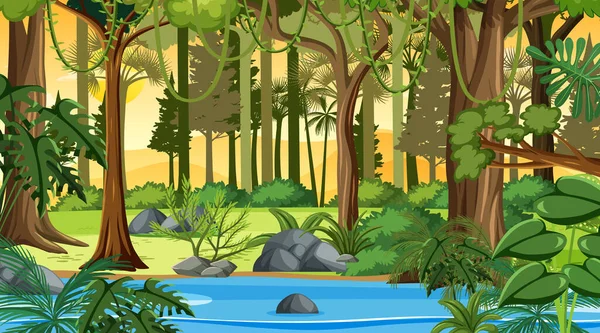 Scena Krajobraz Lasu Zachodzie Słońca Wielu Różnych Drzew Ilustracji — Wektor stockowy