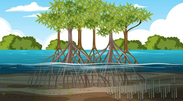 Mangrove orman manzarası gündüz illüstrasyonu