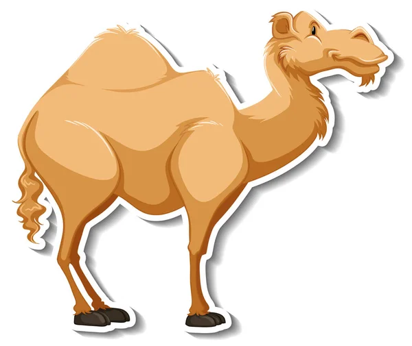 Sticker Template Camel Cartoon Character Illustration — Stock Vector