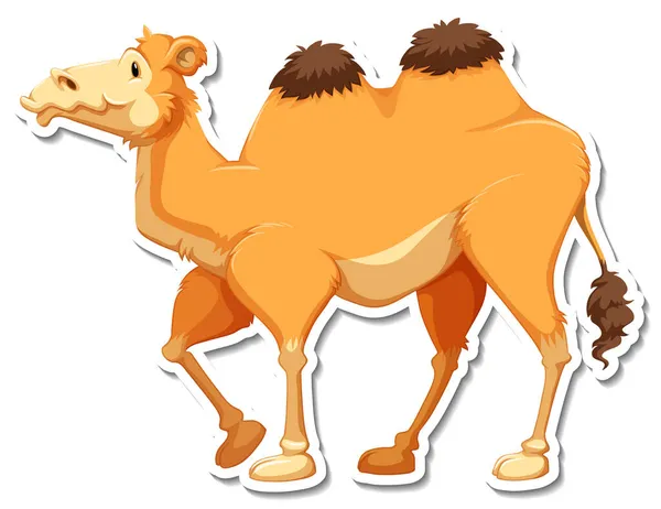 Sticker Template Camel Cartoon Character Illustration — Stock Vector