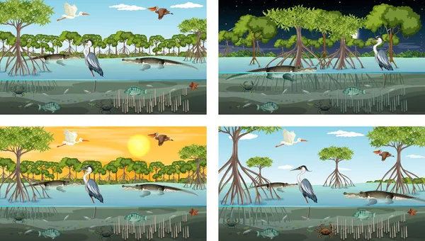 Olika Mangrove Skog Landskap Scener Med Olika Djur Illustration — Stock vektor