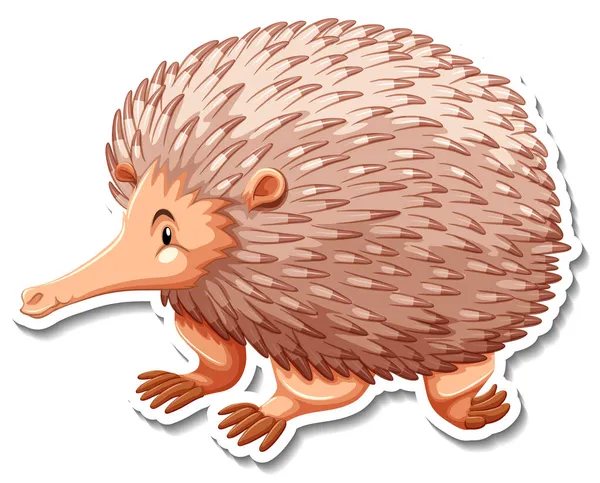 Personagem Desenho Animado Echidna Fundo Branco Ilustração — Vetor de Stock