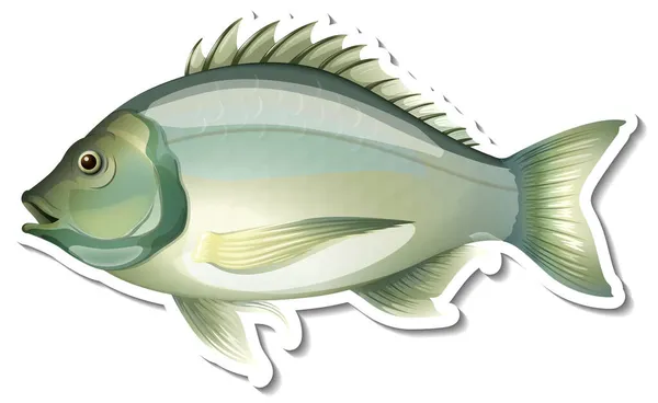 Preto Bream Peixe Adesivo Fundo Branco Ilustração — Vetor de Stock