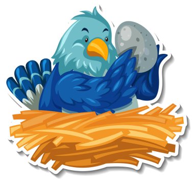 Yuvasında yumurtası olan anne kuş.