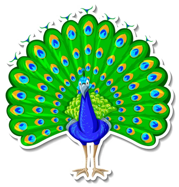 Peacock Bird Animal Cartoon Sticker Illustration — Stock Vector