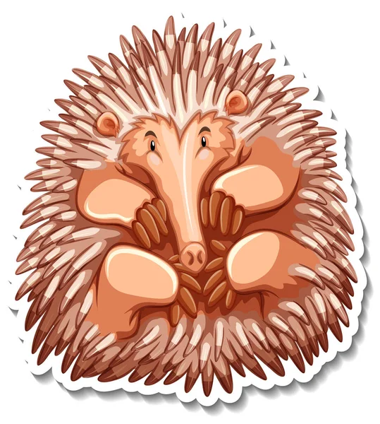 Echidna Personaggio Cartone Animato Sfondo Bianco Illustrazione — Vettoriale Stock