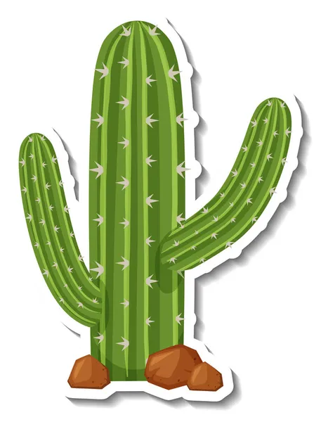 Saguaro Kaktus Växt Vit Bakgrund Illustration — Stock vektor