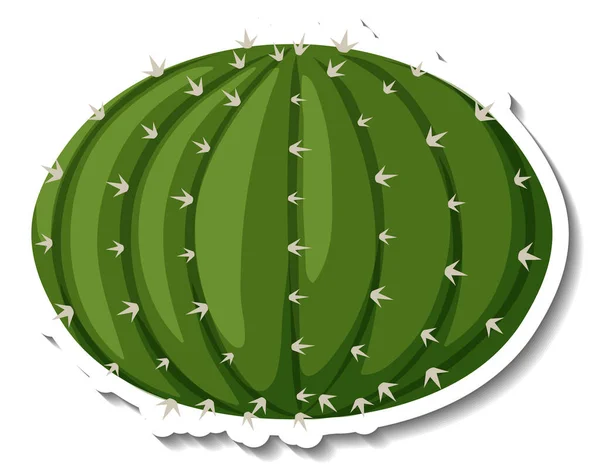 白背景图上的仙人掌植物 — 图库矢量图片