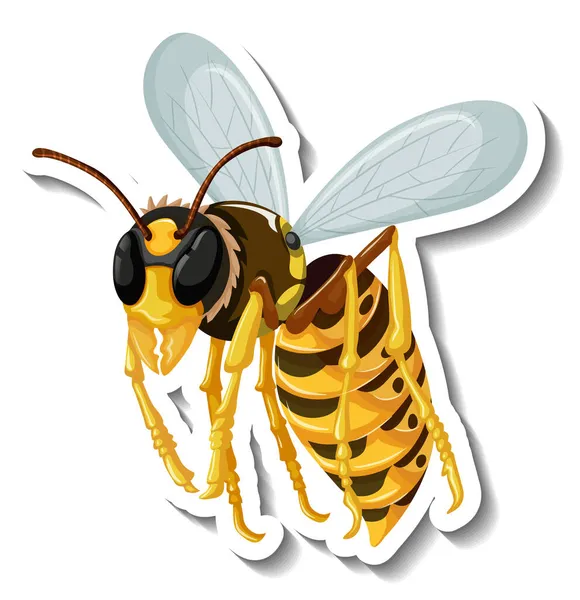 Honingbij Insect Cartoon Sticker Illustratie — Stockfoto