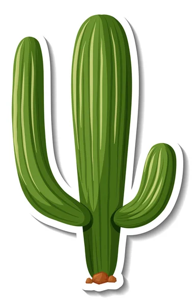 Saguaro Cacto Planta Sobre Fundo Branco Ilustração — Fotografia de Stock