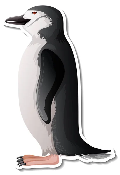 Autocollant Dessin Animé Animal Pingouin Sur Fond Blanc Illustration — Photo