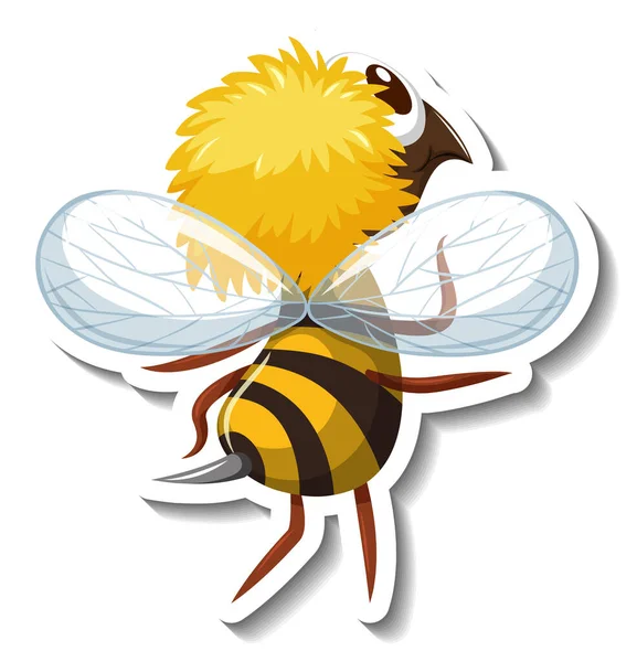Back Side Honey Bee Cartoon Character Sticker Illustration — Stock Photo, Image