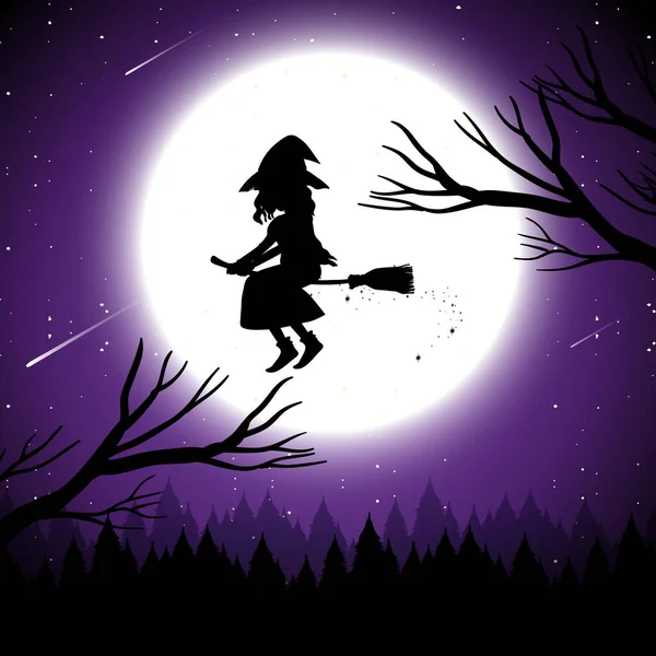 Fondo Noche Halloween Con Silueta Bruja Ilustración —  Fotos de Stock