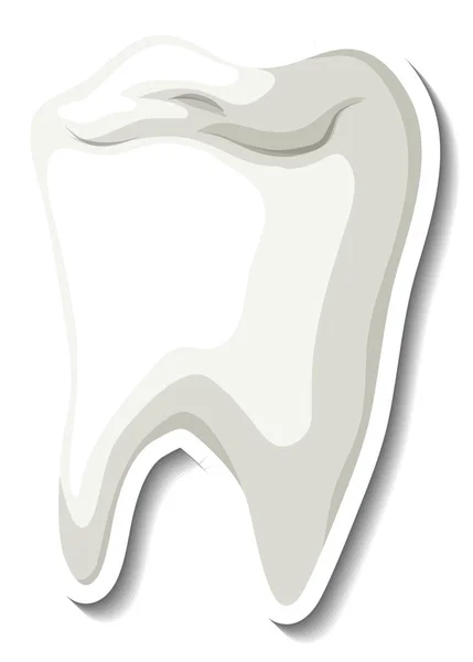 白い背景のイラストに白い歯が分離 — ストック写真