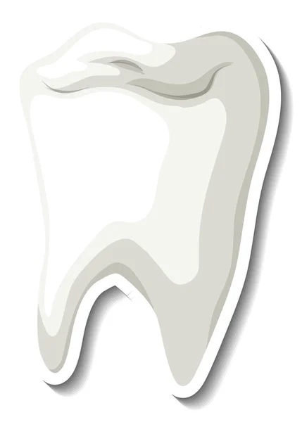 Dente Bianco Isolato Sfondo Bianco Illustrazione — Foto Stock