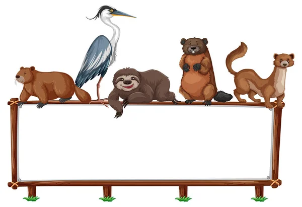 Lege Banner Met Wilde Dieren Witte Achtergrond Illustratie — Stockvector