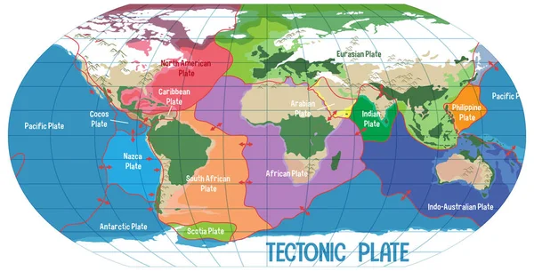 Mapa Světa Zobrazování Tektonických Desek Hranice Ilustrace — Stockový vektor