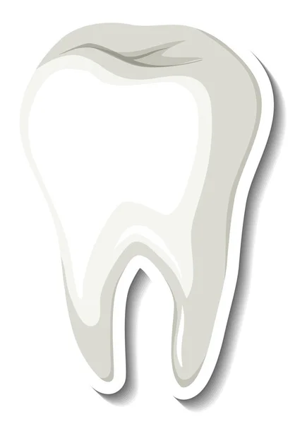 白色背景图上孤立的白牙 — 图库矢量图片