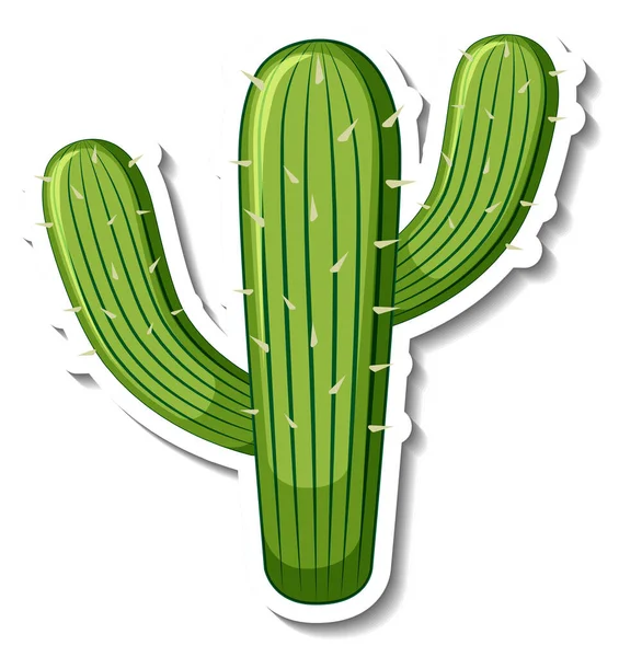 Saguaro Cactus Plant Witte Achtergrond Illustratie — Stockvector