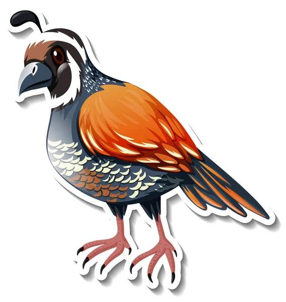 Bird Animal Cartoon Sticker Illustration — Archivo Imágenes Vectoriales