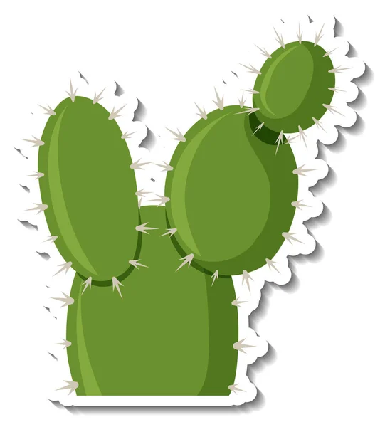 Opuntia Cactus Plant White Background Illustration — Vetor de Stock