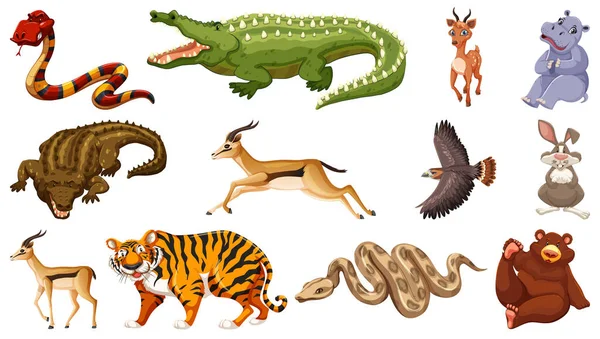 Set Different Wild Animals Cartoon Characters Illustration — Stockvector