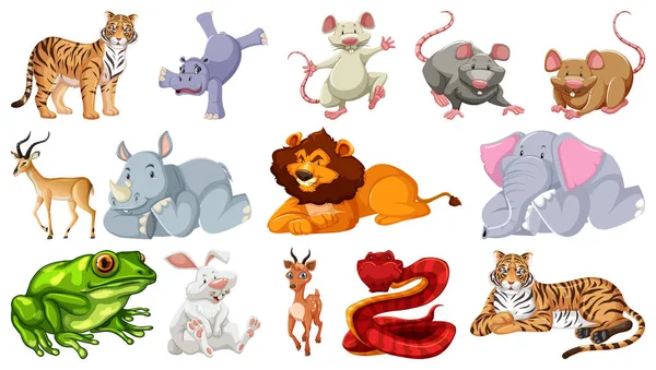 Conjunto Diferentes Animais Selvagens Desenhos Animados Personagens Ilustração —  Vetores de Stock