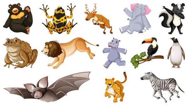 Set Different Wild Animals Cartoon Characters Illustration — Stockvektor