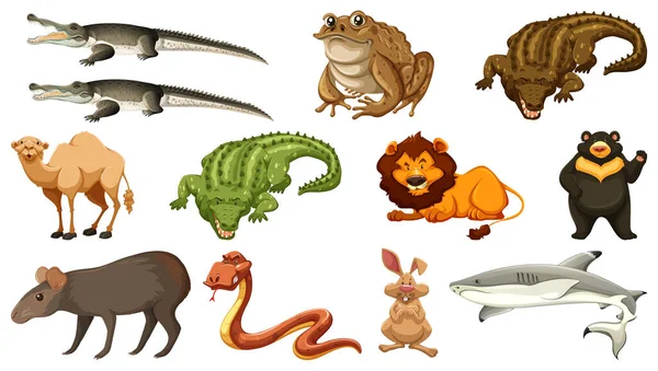Σύνολο Διαφόρων Άγριων Ζώων Εικονογράφηση Χαρακτήρων Κινουμένων Σχεδίων — Διανυσματικό Αρχείο