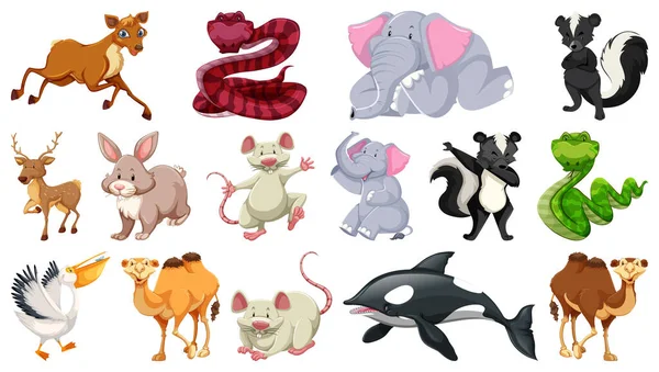 Diferentes Personajes Dibujos Animados Animales Salvajes Ilustración — Vector de stock