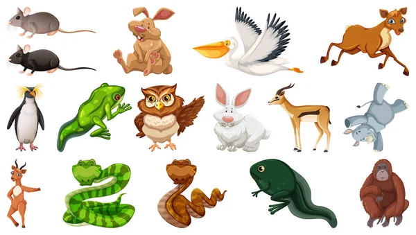 Set Diversi Animali Selvatici Personaggi Dei Cartoni Animati Illustrazione — Vettoriale Stock