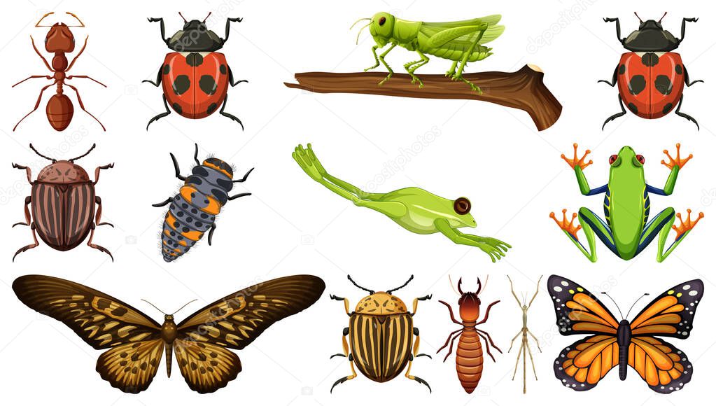 Different insects collection isolated on white background illustration