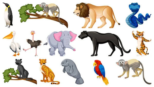 Ensemble Différents Animaux Sauvages Dessin Animé Personnages Illustration — Image vectorielle