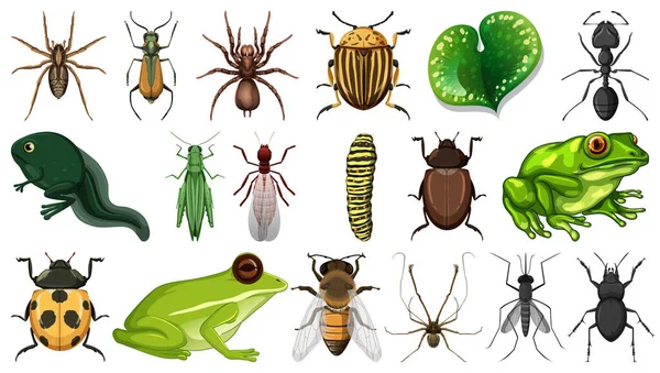 Different Insects Collection Isolated White Background Illustration — Stock Vector