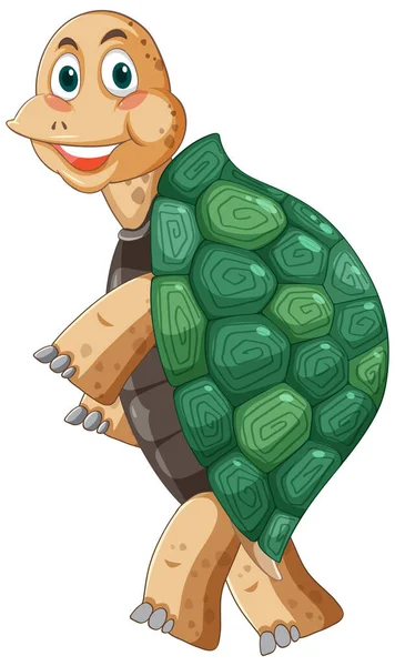 Turtle Green Shell Cartoon Character Illustration — vektorikuva