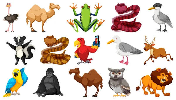 Conjunto Diferentes Animais Selvagens Desenhos Animados Personagens Ilustração — Vetor de Stock