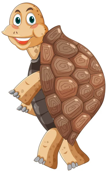 Tortoise Brown Shell Cartoon Character Illustration — vektorikuva
