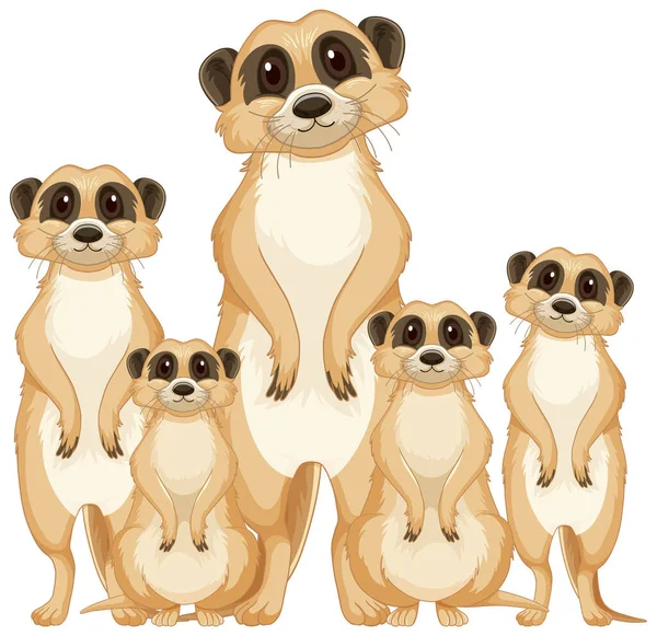 Grupo Meerkats Ilustração Estilo Cartoon —  Vetores de Stock