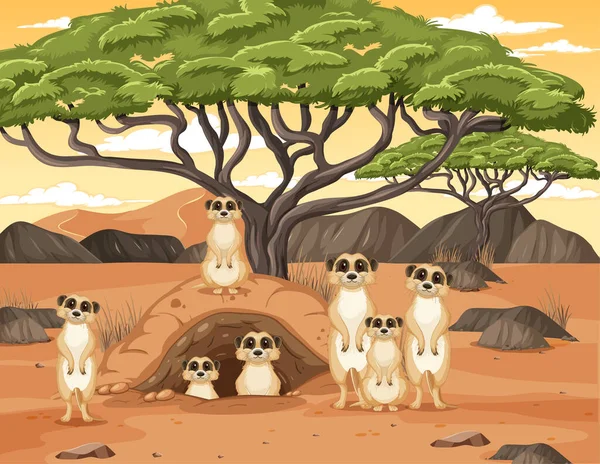 Fundo Deserto Com Grupo Meerkats Ilustração —  Vetores de Stock