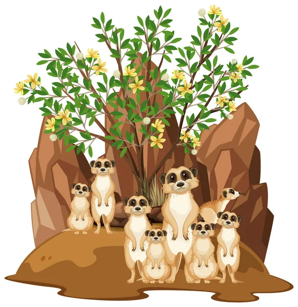 Cena Natureza Isolada Com Ilustração Família Meerkat —  Vetores de Stock